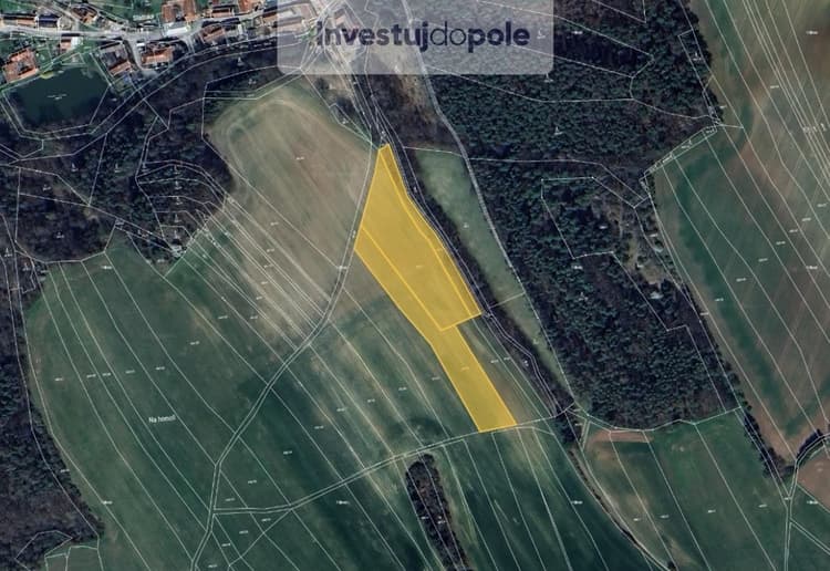 Prodej pole 10 435 m², Letovice - Slatinka