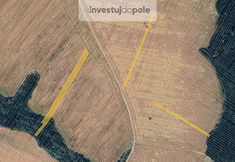 Prodej podílu 1/2 pole 3 272 m², Mistřice