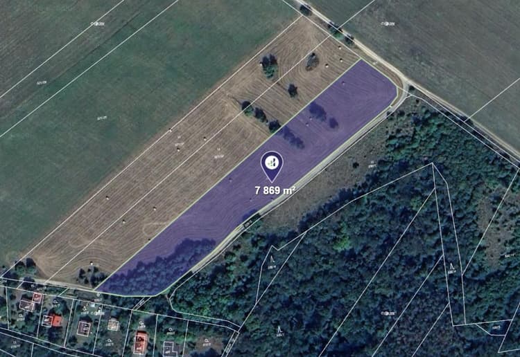 Prodej pole v k.ú. Sýkořice