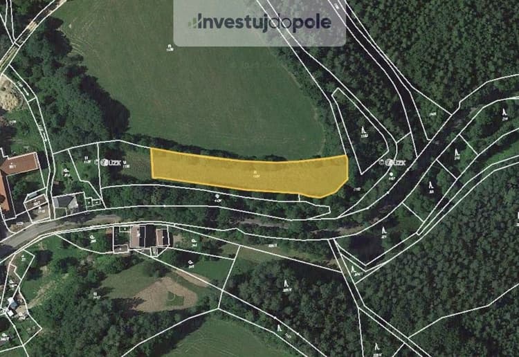 Prodej louky 2 793 m², Borušov