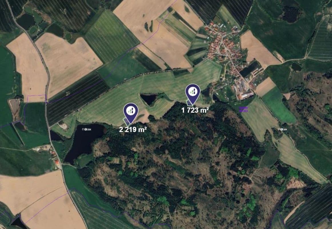 Kadolec - foto 2