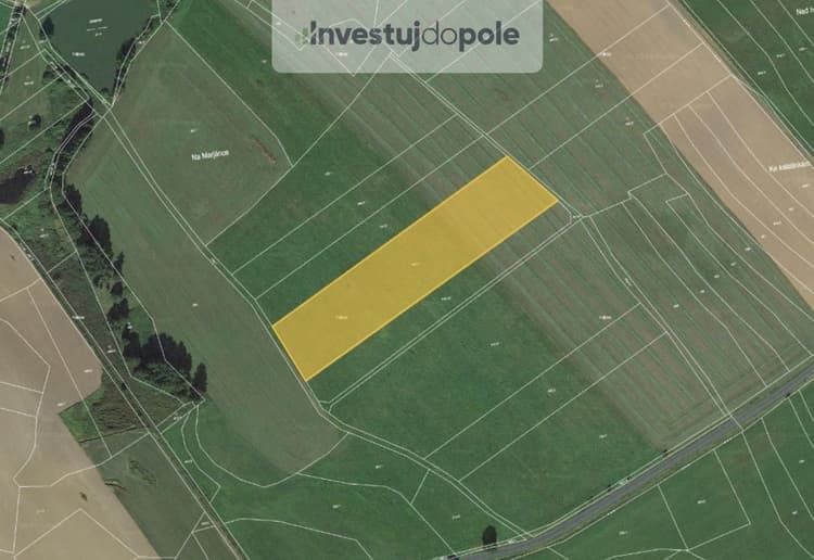 Prodej pole 11 102 m², Běhařov
