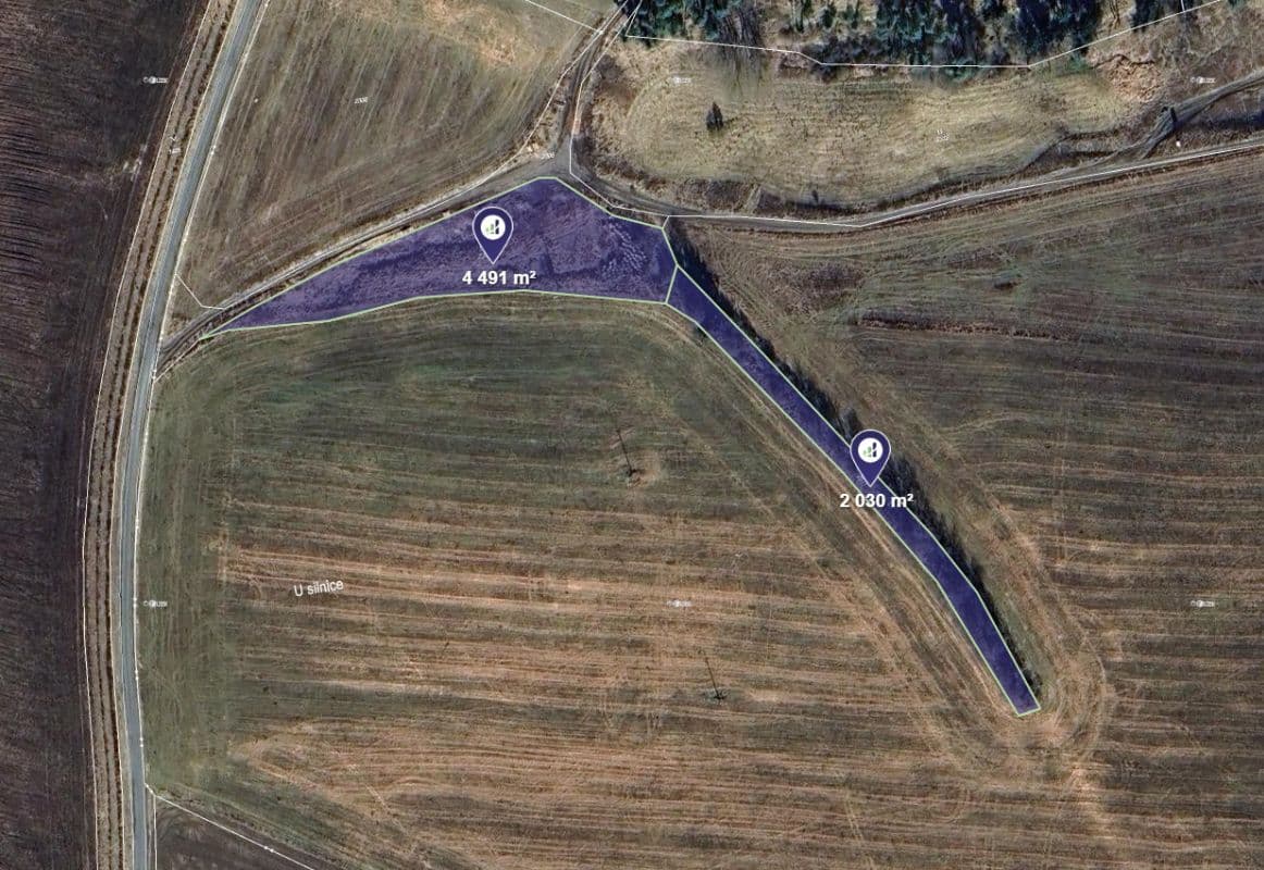 Planá - foto 1