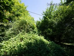Hrubá Skála - foto 4