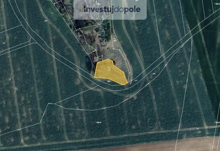 Prodej lesa 1 294 m², Ronov nad Doubravou