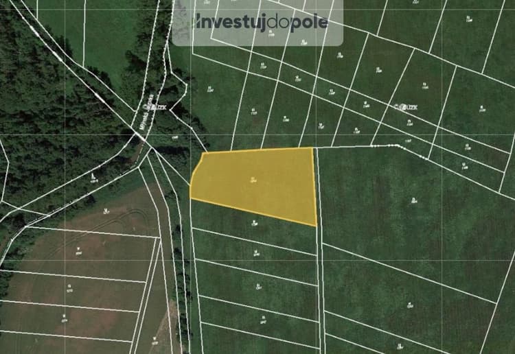 Prodej podílu 13/64 louky 911 m², Smidary
