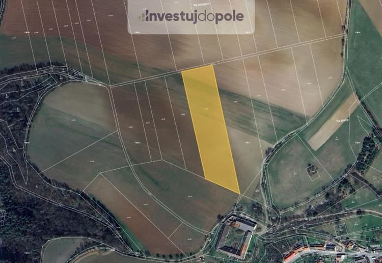 Prodej pole 12 248 m², Letovice - Slatinka