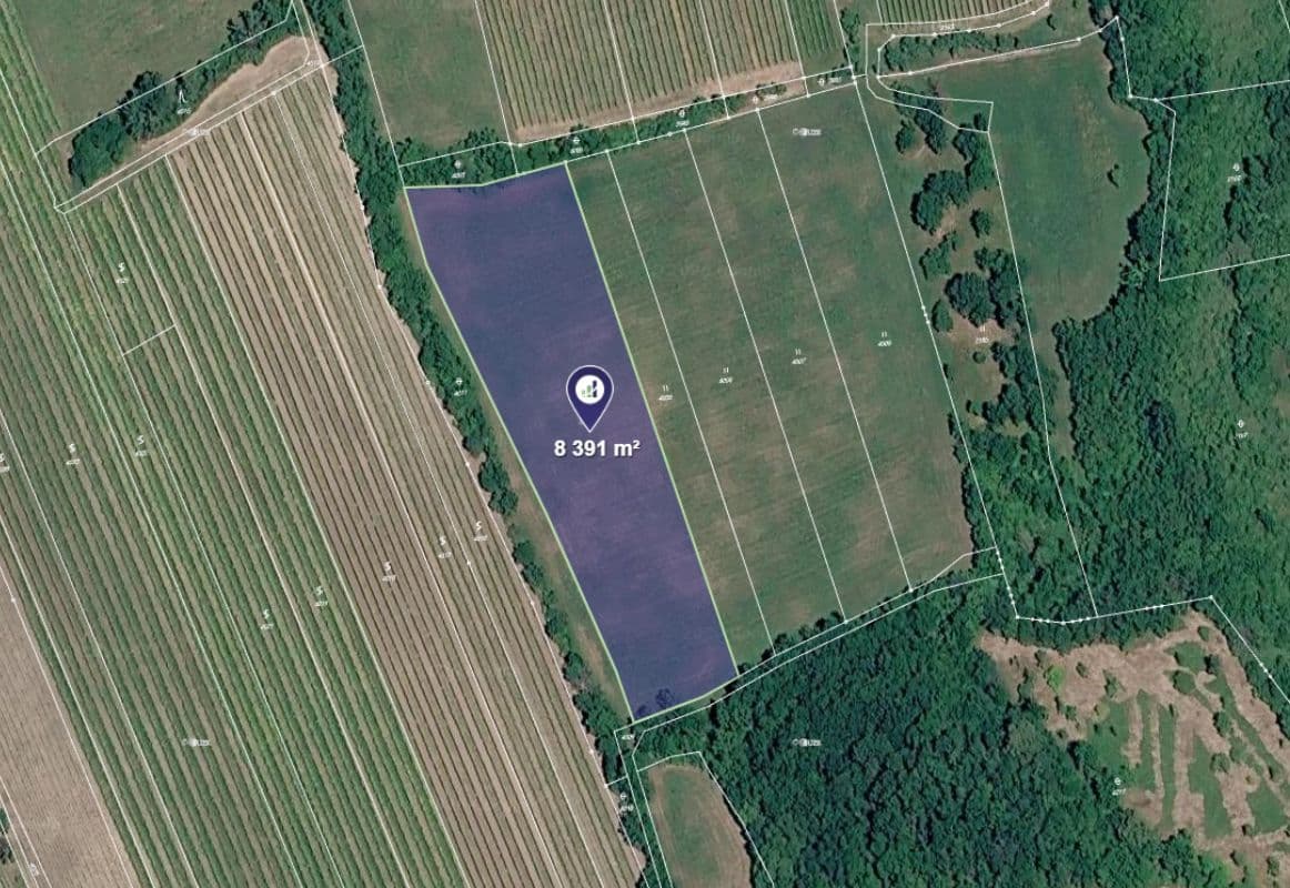 Horní Věstonice - foto 0