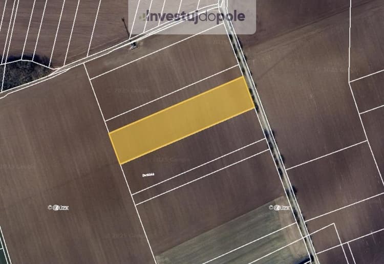 Prodej podílu 1/4 pole 5 770 m², Smidary - Křičov