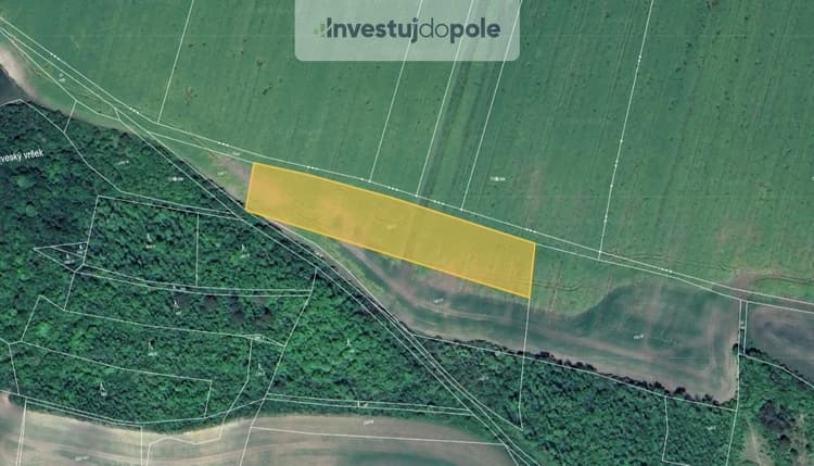 Prodej pole 5 755 m², Chožov - Třtěno