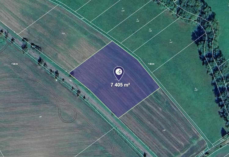 Prodej pole v k.ú. Chotělice