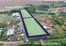 Ořech - foto 0