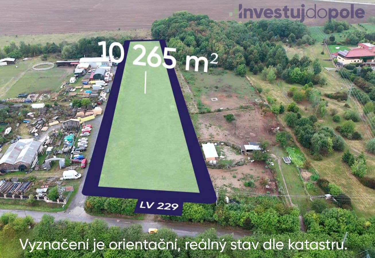 Ořech - foto 1