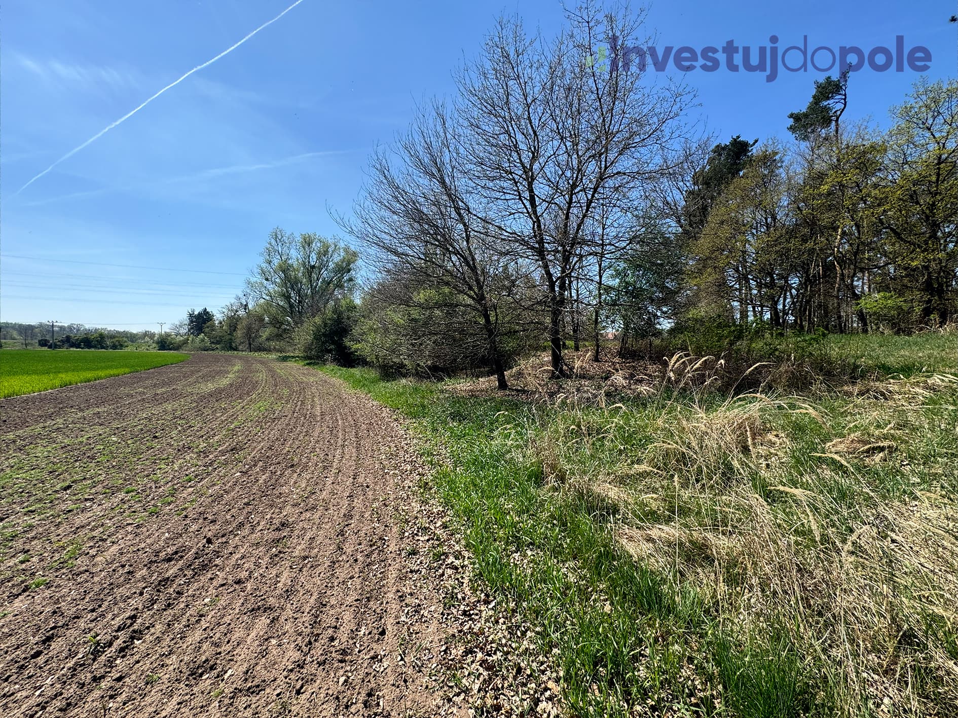 Přelouč - foto 5