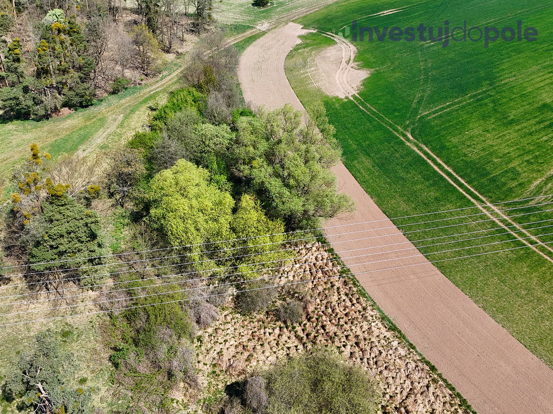 Přelouč - foto 2