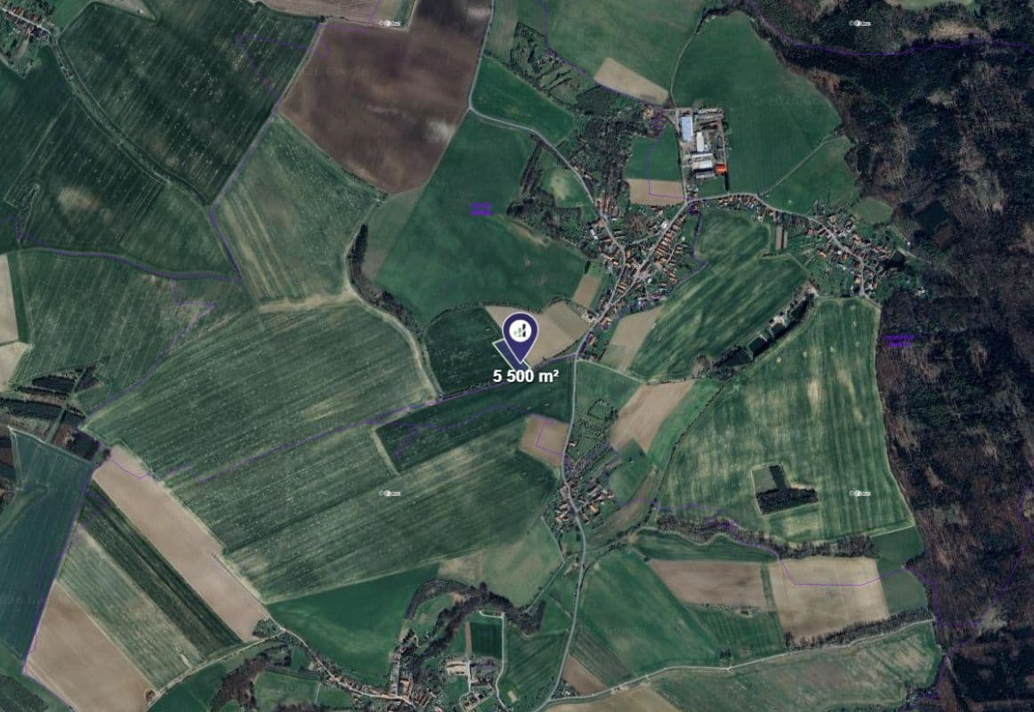 Lipovec - foto 1