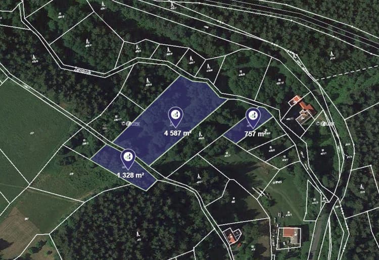 Prodej lesa v k.ú. Bratříkov