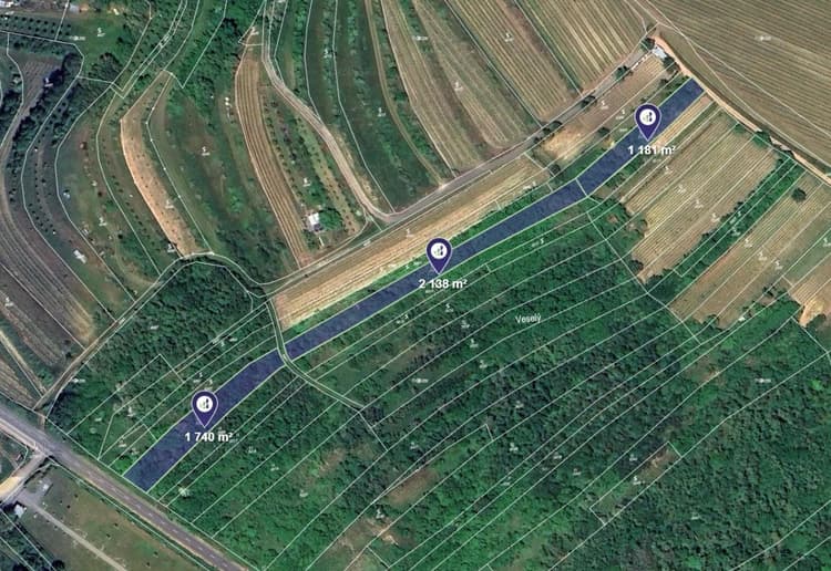 Prodej vinice v k.ú. Němčičky u Hustopečí