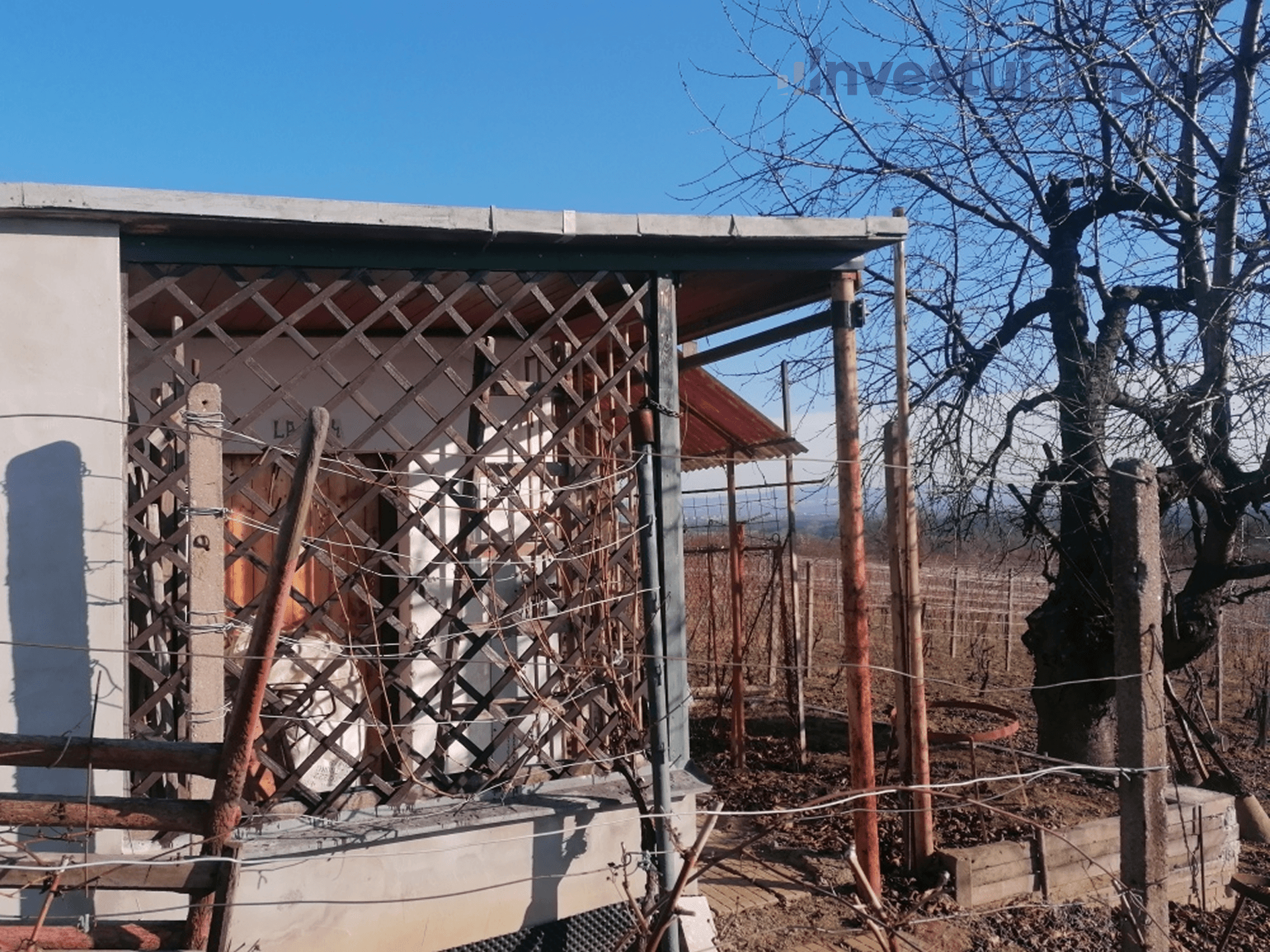 Bzenec - foto 5