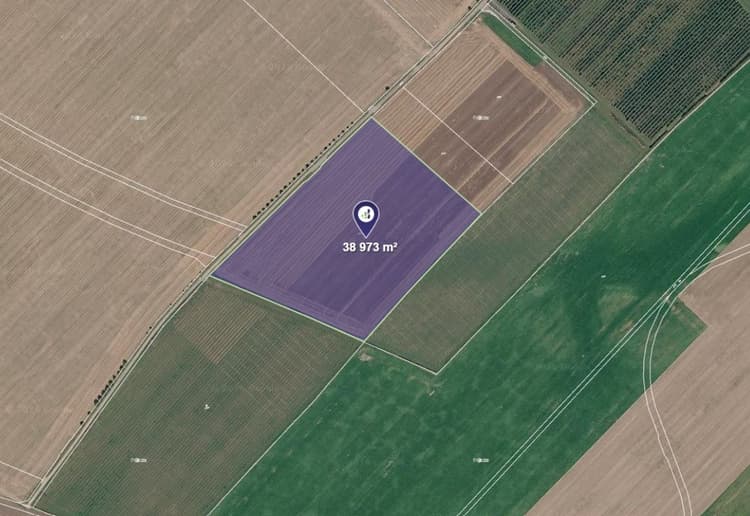 Prodej pole v k.ú. Chlum u Dubé