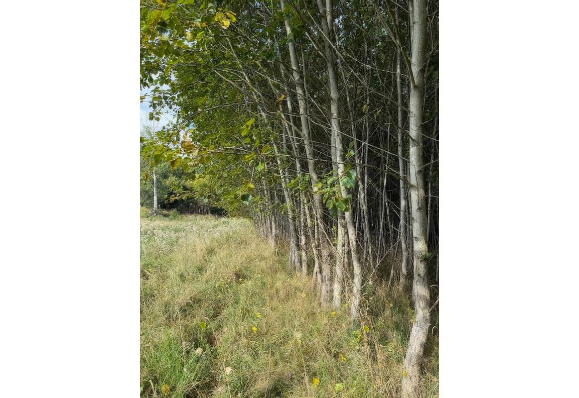 Česká Kamenice - foto 5