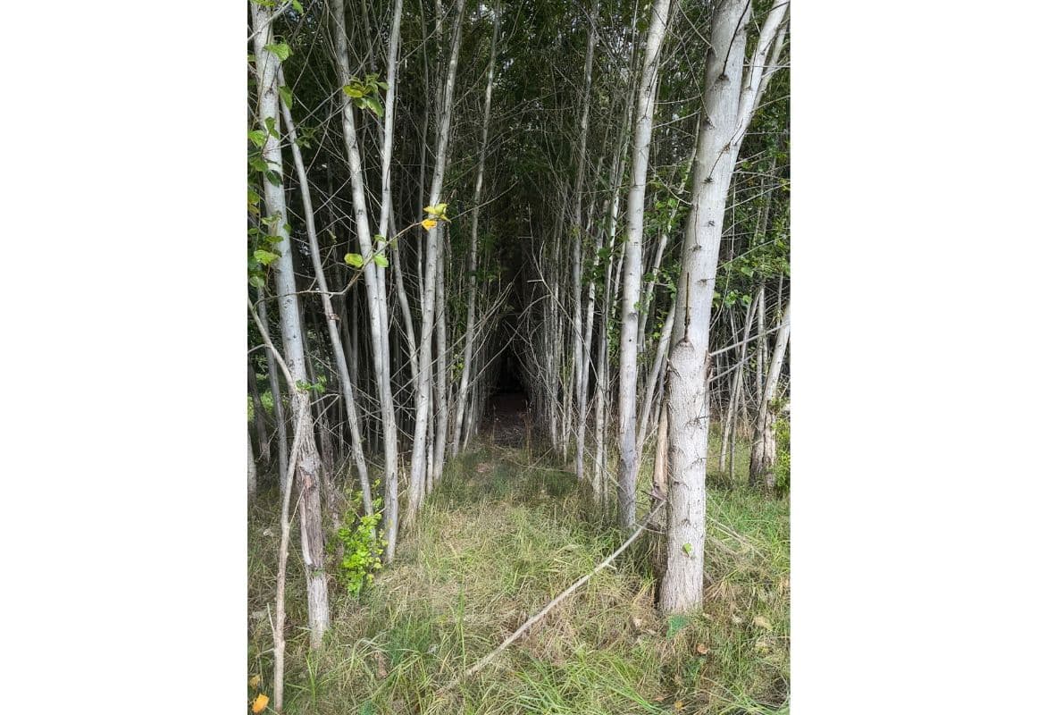 Česká Kamenice - foto 4