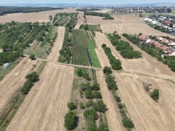 Hrušovany u Brna - foto 1