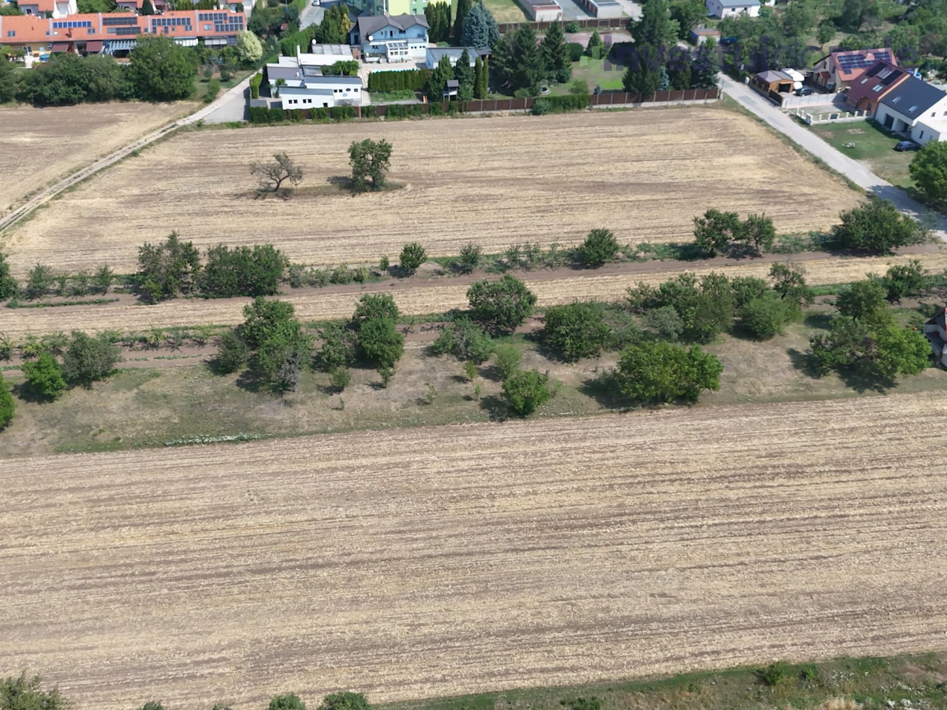 Hrušovany u Brna - foto 2