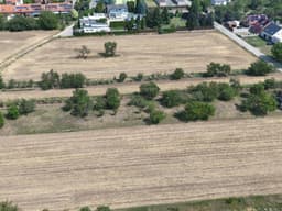 Hrušovany u Brna - foto 2