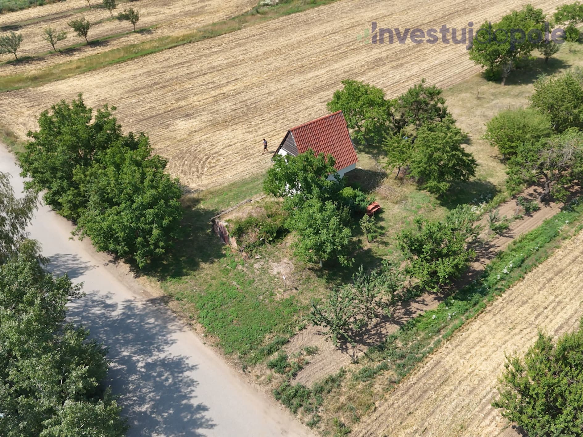 Hrušovany u Brna - foto 6