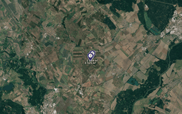 Hrušky - foto 1