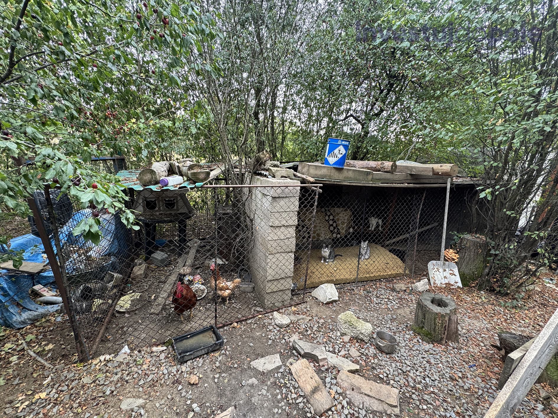 Kunkovice - foto 11