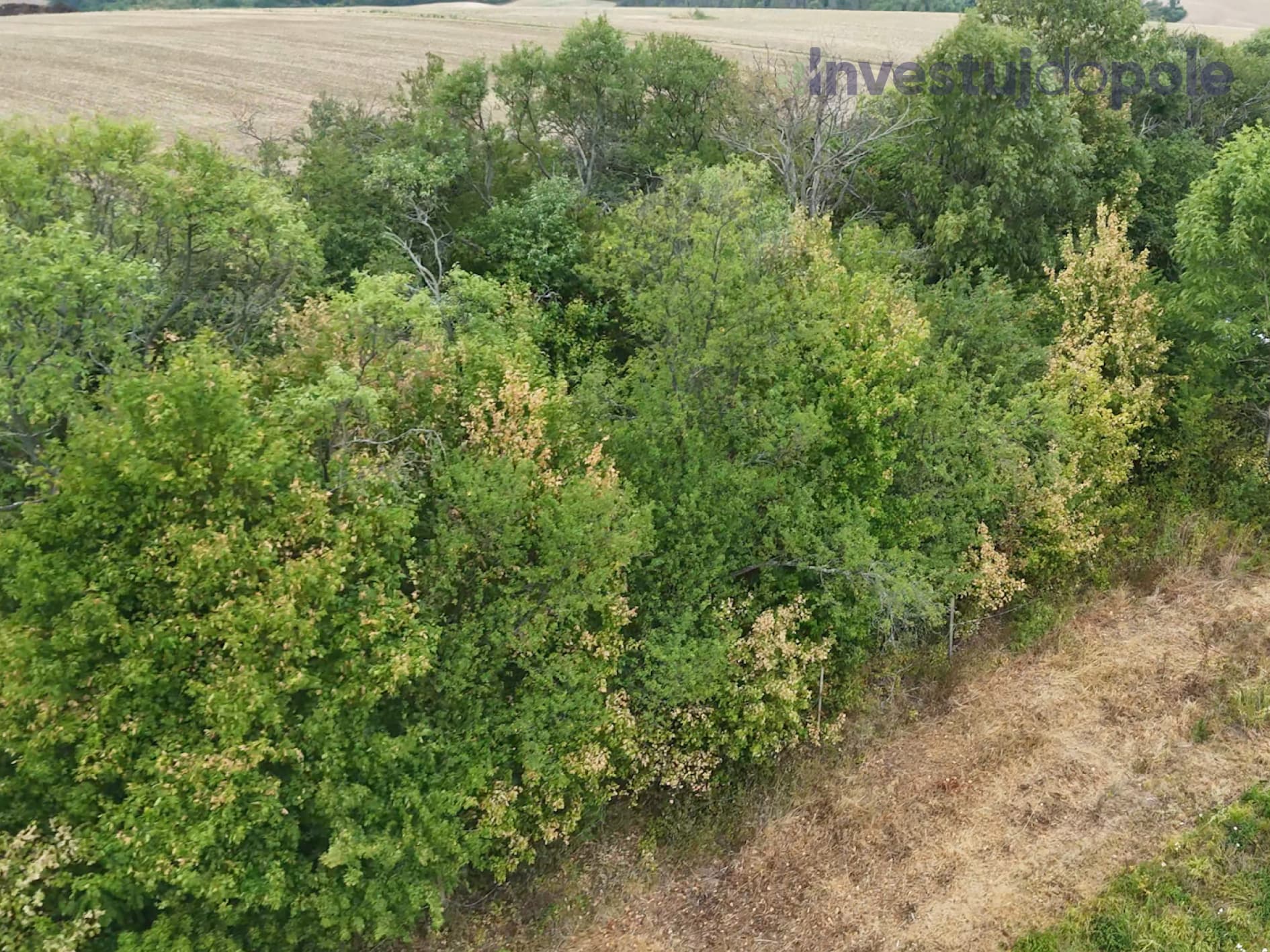 Kunkovice - foto 6