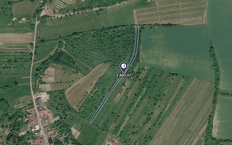 Prodej pole v k.ú. Boleradice