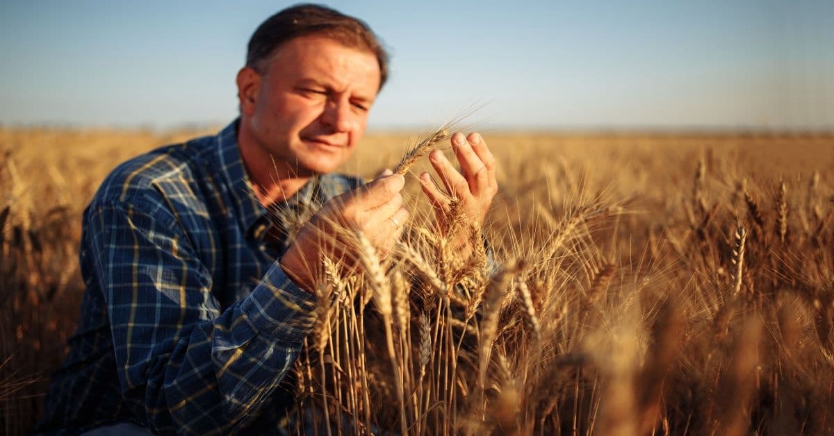 Jak na prodej pozemku v insolvenci nebo exekuci mimo dražbu?