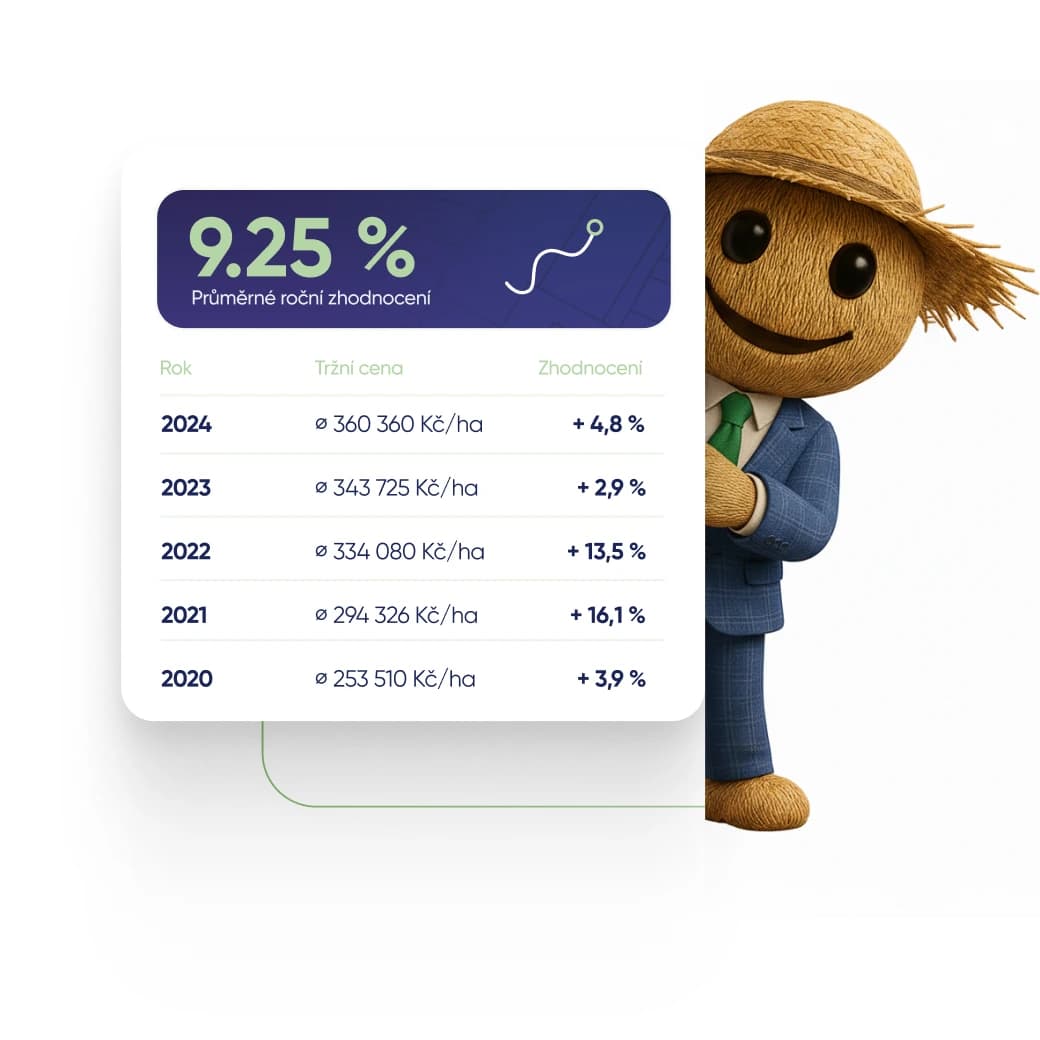 Investiční konzultace