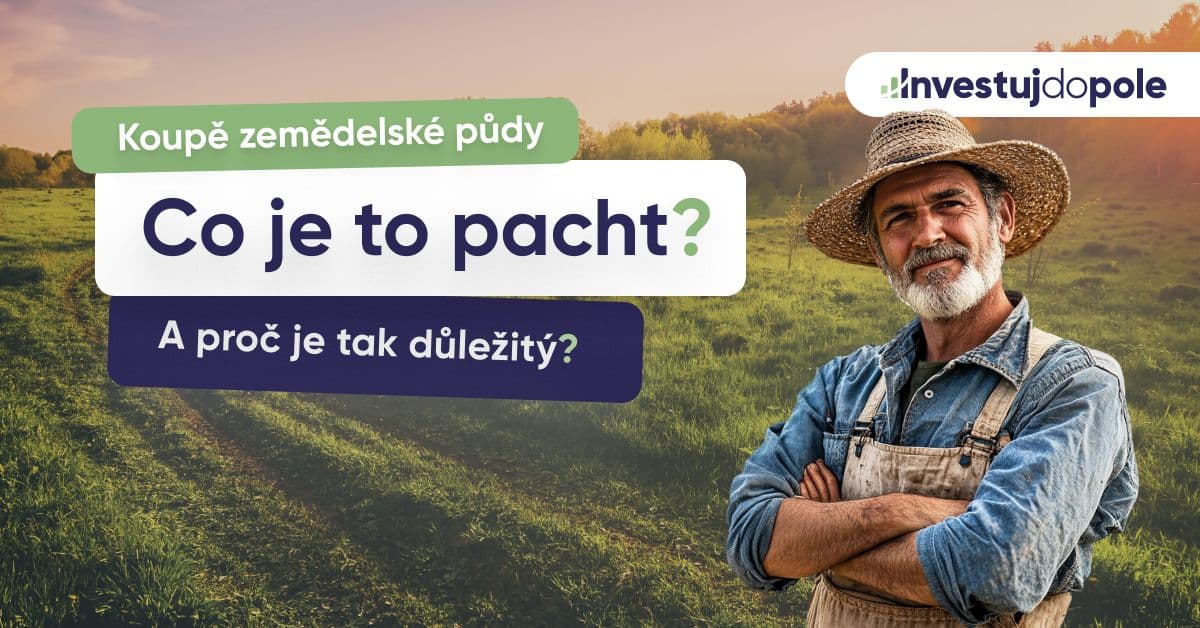 Co je to pacht a proč je důležitý při koupi zemědělské půdy?