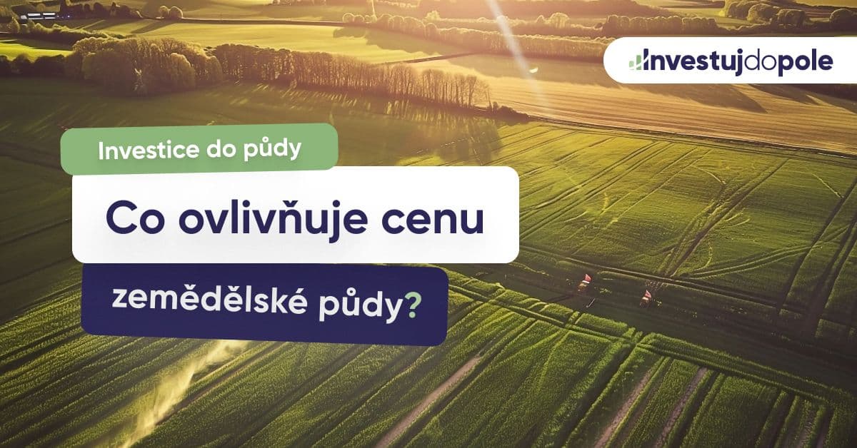 Plánujete prodej či koupi pozemku? Zjistěte, co ovlivňuje cenu půdy