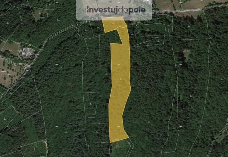 Prodej lesa 21 494 m², Všemina
