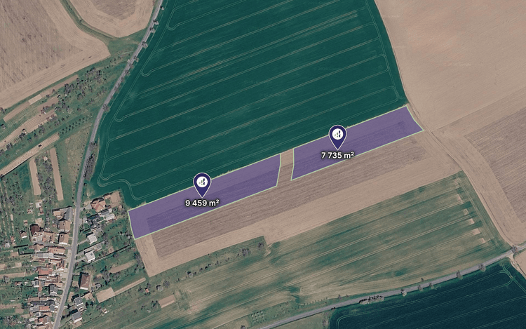 Prodej pole v k.ú. Kostelec u Kyjova