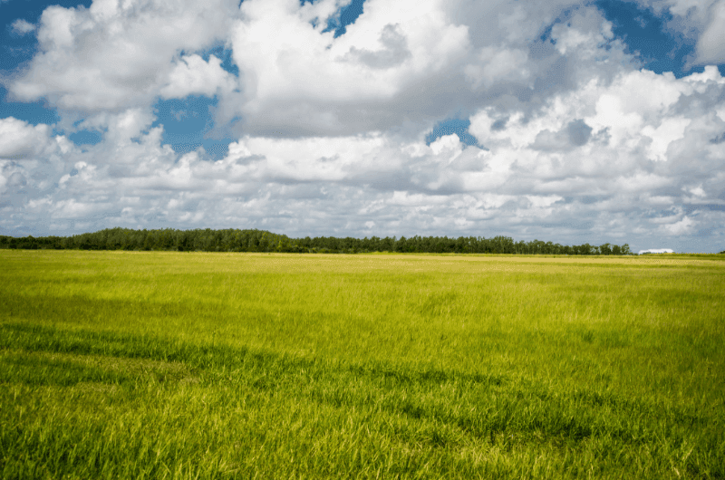 Víte, kdy při investici do pozemků neplatíte DPH? Poznejte výhody nestavebních parcel