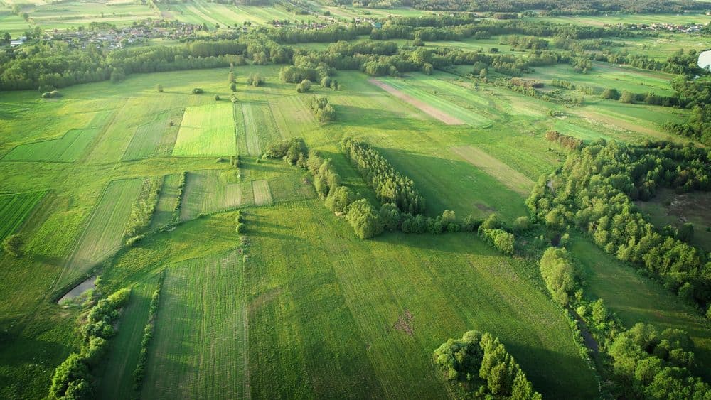 Jaké pozemky máme na prodej v roce 2024?
