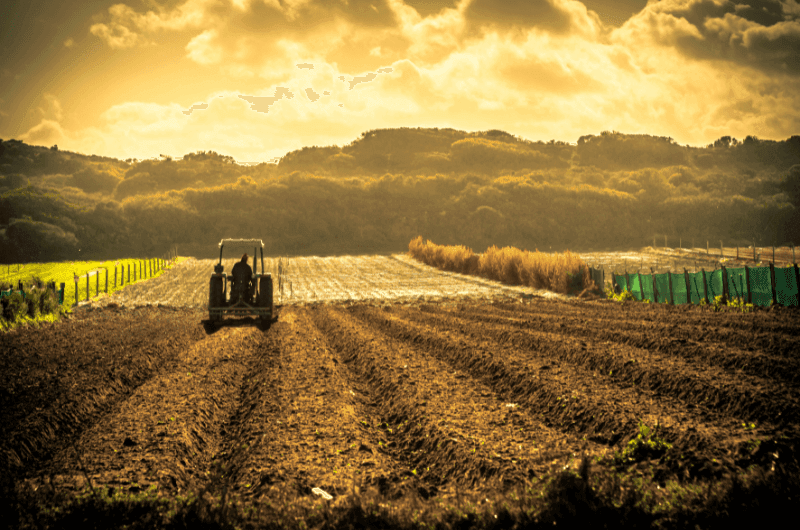 Zemědělská půda jako nenahraditelný zdroj a příležitost k pasivnímu příjmu